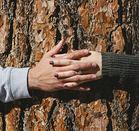 imagen_blog_sergreen_beneficios_ambientales