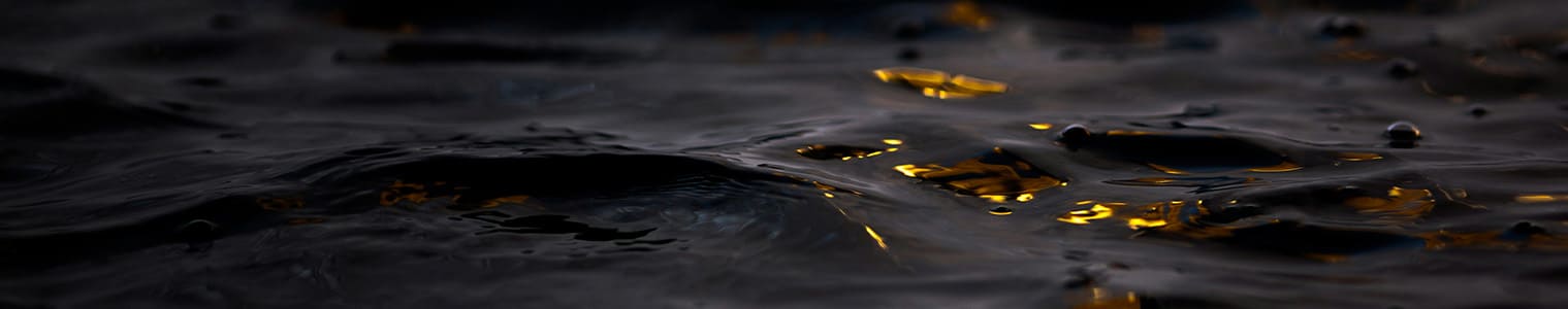 slider_blog_sergreen_separador_grasas